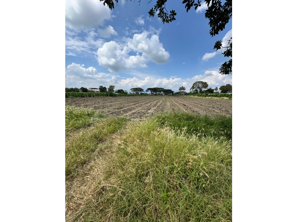 Lote en venta La Reforma/ Rozo - 4
