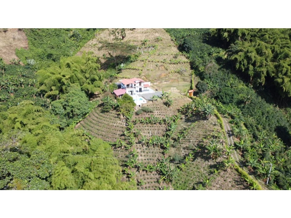VETA FINCA CAFETERA EN SANTA ROSA DE CABAL CERCA A PEREIRA — foto 3