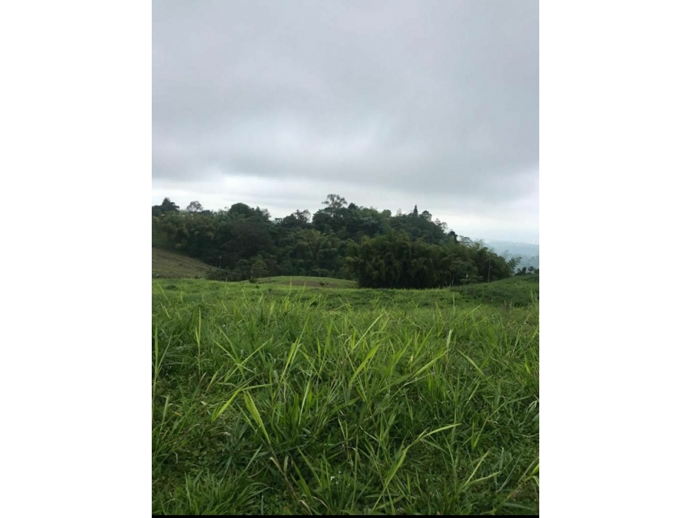 VENTA LOTES EN CONDOMINIO VÍA PEREIRA ARMENIA — foto 3
