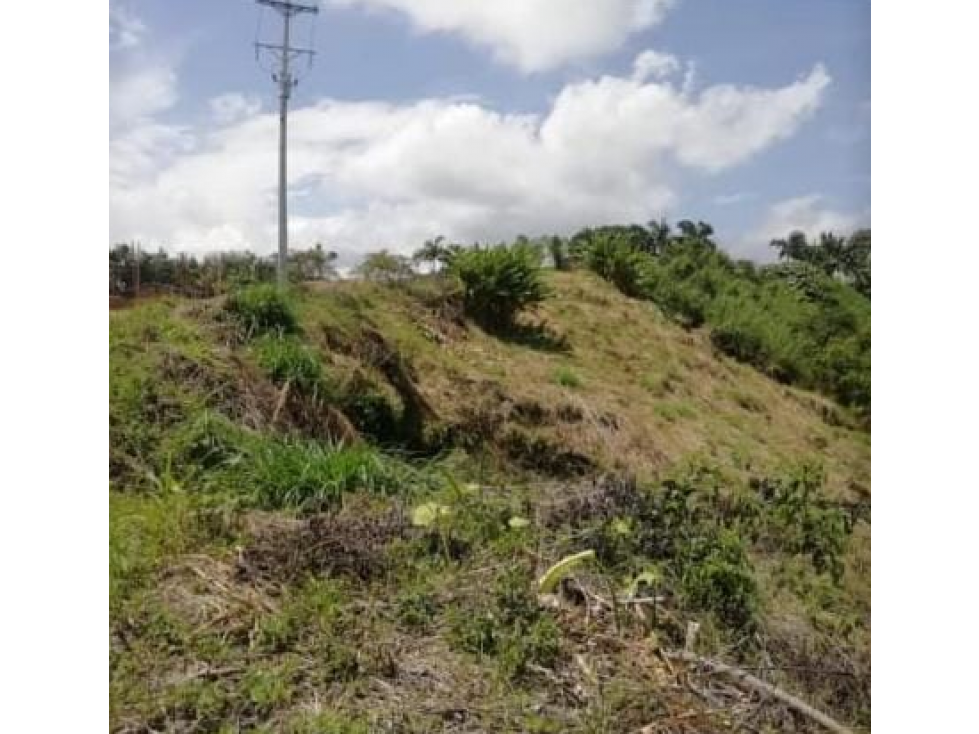 VENTA LOTE EN CONDOMINIO SECTOR PUEBLITO CAFETERO PEREIRA — foto 5