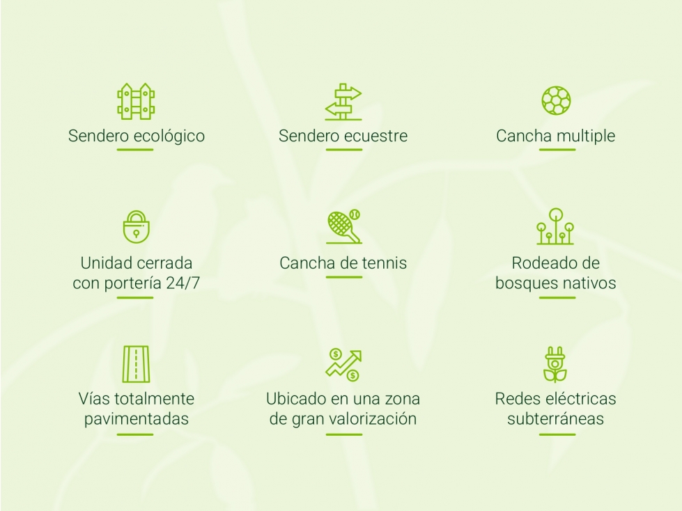 VENTA DE LOTES DE 10 MIL METROS EN CERRITOS PEREIRA — foto 3