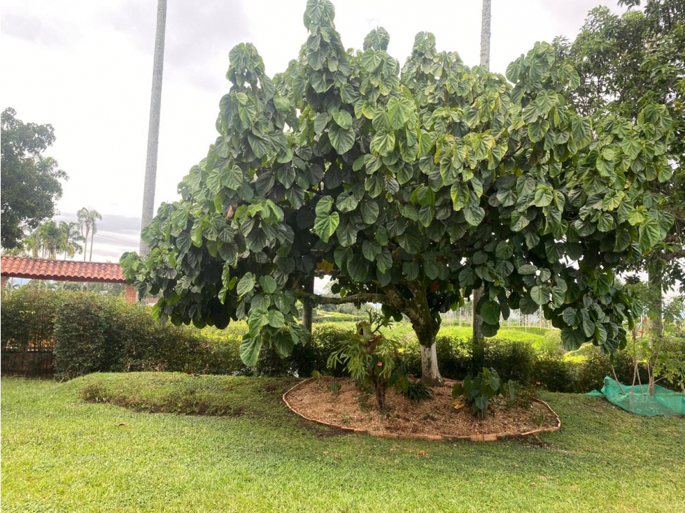 VENTA CASA CAMPESTRE AMPLIA EN CERRITOS PEREIRA — foto 4