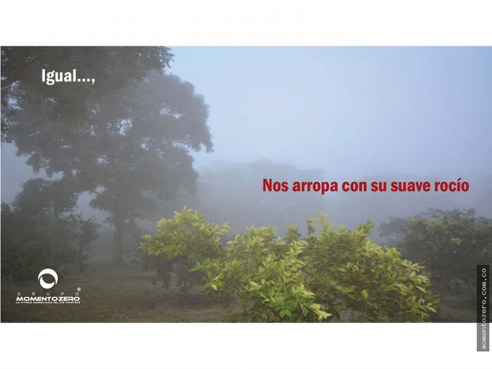 VENTA LOTE SECTOR EL TIGRE CERRITOS PEREIRA