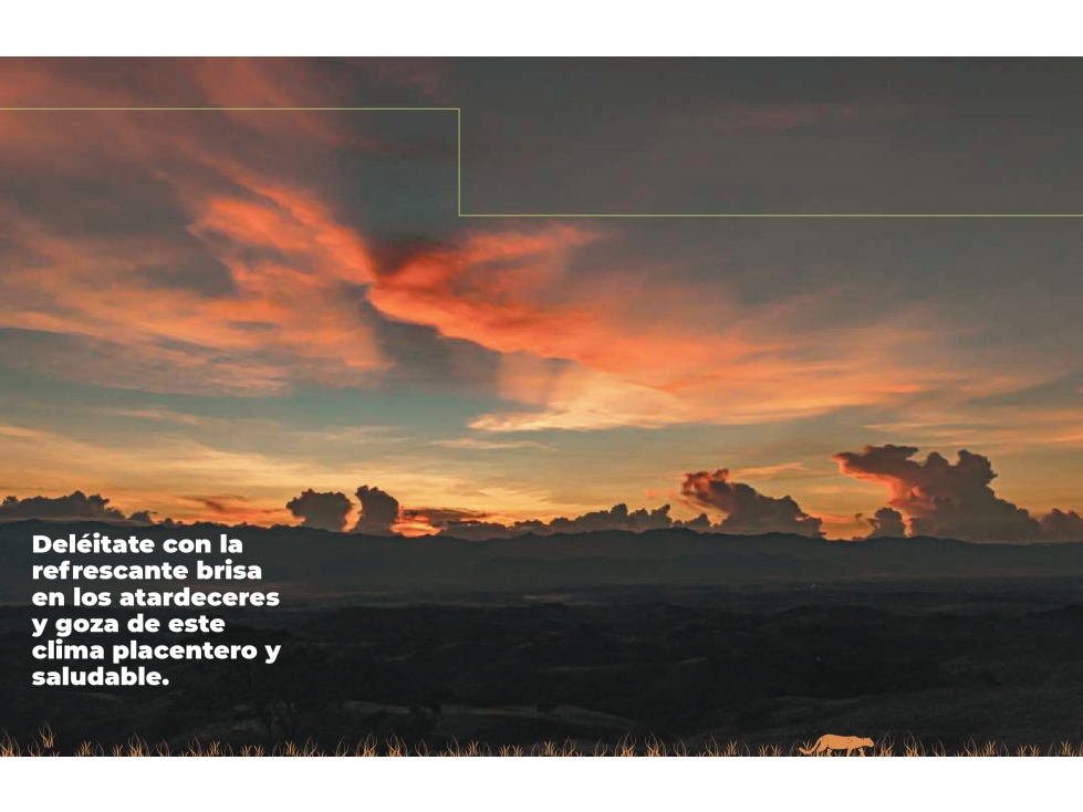 VENTA LOTES CON UNA ESPECTACULAR VISTA CERRITOS PEREIRA — foto 2