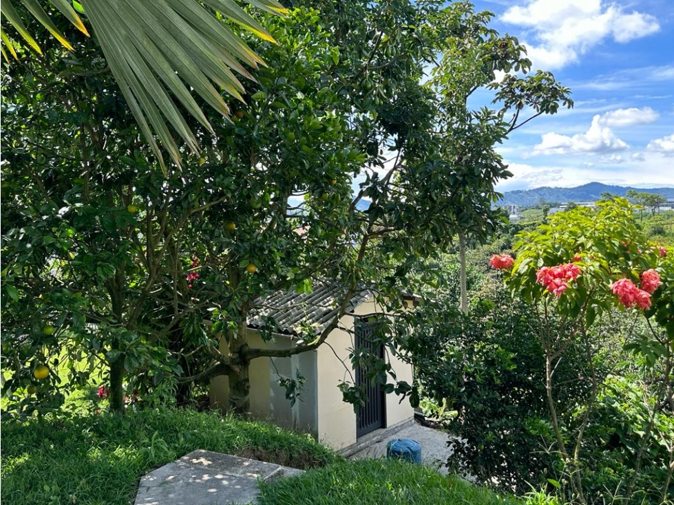 VENTA CASA CAMPESTRE SECTOR PUELBITO CAFETERO PEREIRA — foto 5