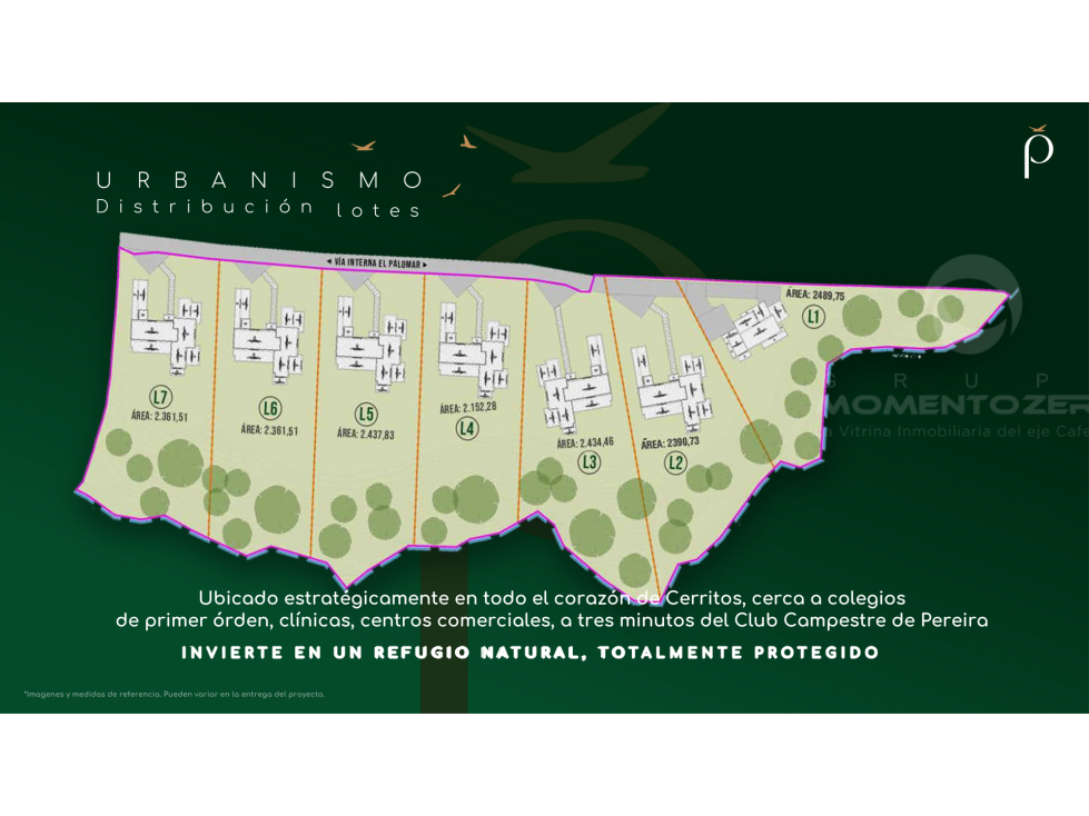 VENTA LOTES EN PARCELACION VIA CERRITOS LA VIRGINIA PEREIRA — foto 3