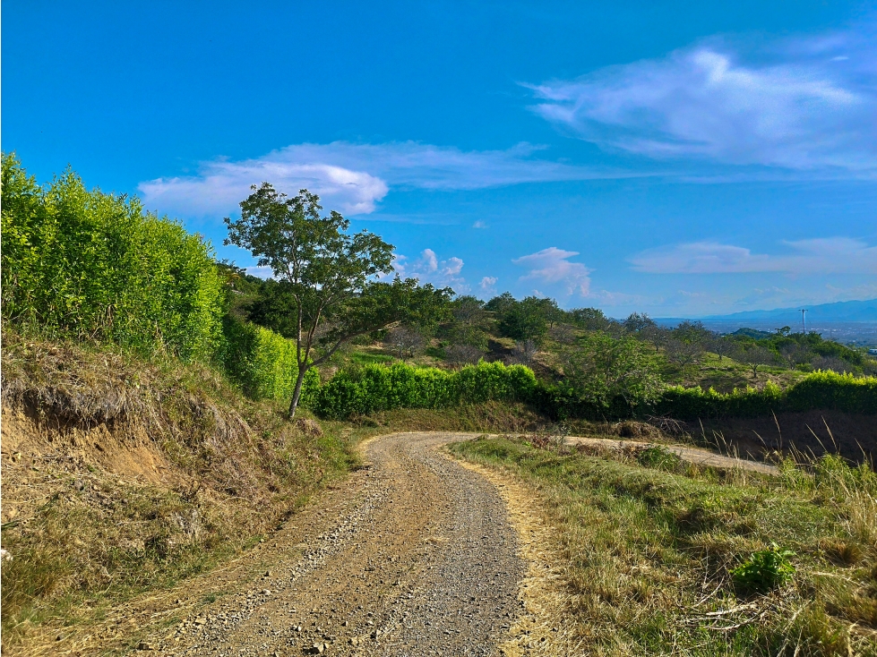 VENTA HERMOSO LOTE EN PARCELA CON INCREIBLE VISTA VIA PEREIRA CARTAGO — foto 4