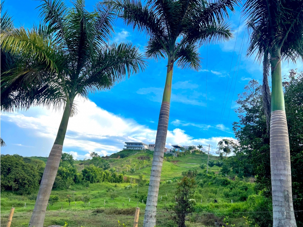VENTA LOTE CON HERMOSA VISTA MALABAR CERRITOS PEREIRA — foto 2