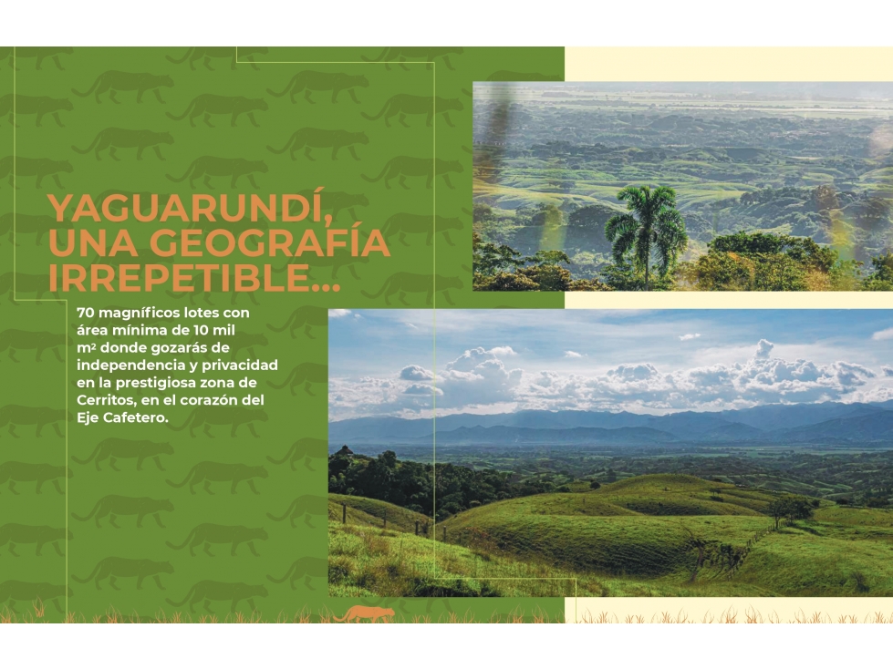 VENTA LOTES CON UNA ESPECTACULAR VISTA CERRITOS PEREIRA — foto 5