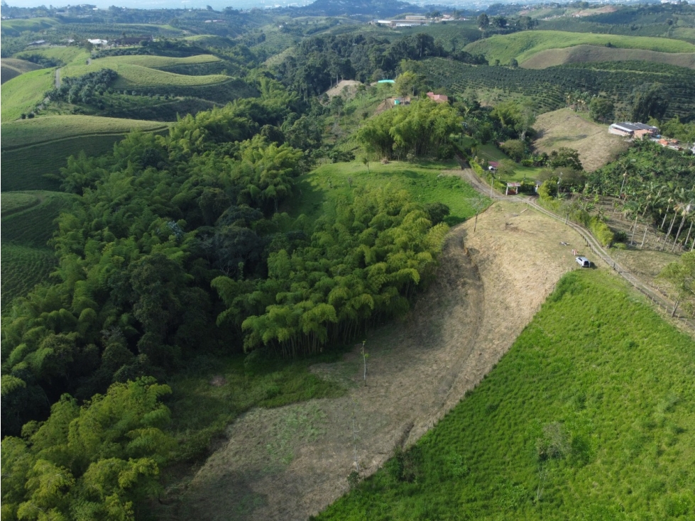 VENTA AMPLIO LOTE DE 10036 MTS VIA ALTAGRACIA PEREIRA