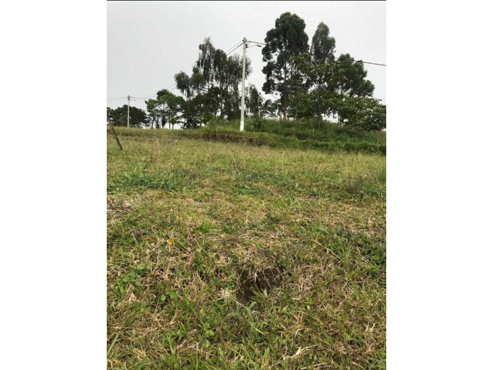 VENTA LOTES EN CONDOMINIO VÍA PEREIRA ARMENIA — foto 4