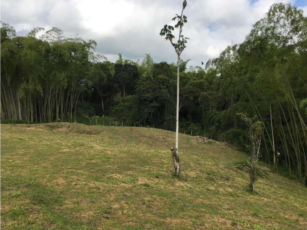 VENTA AMPLIO LOTE DE 10036 MTS VIA ALTAGRACIA PEREIRA — foto 3