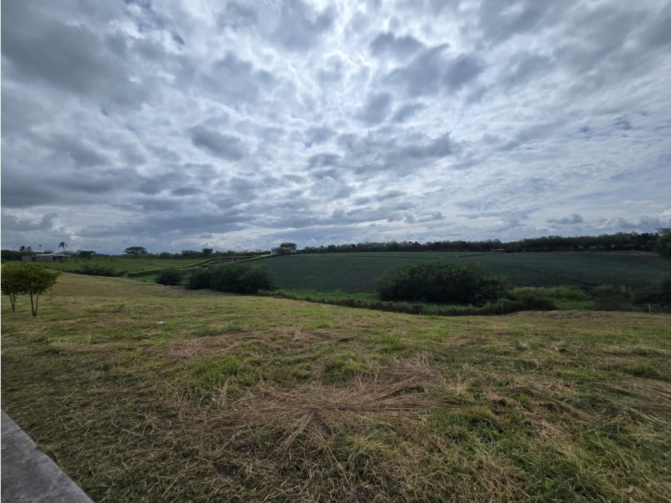 VENTA LOTE VÍA CERRITOS LA VIRGINIA PEREIRA — foto 2