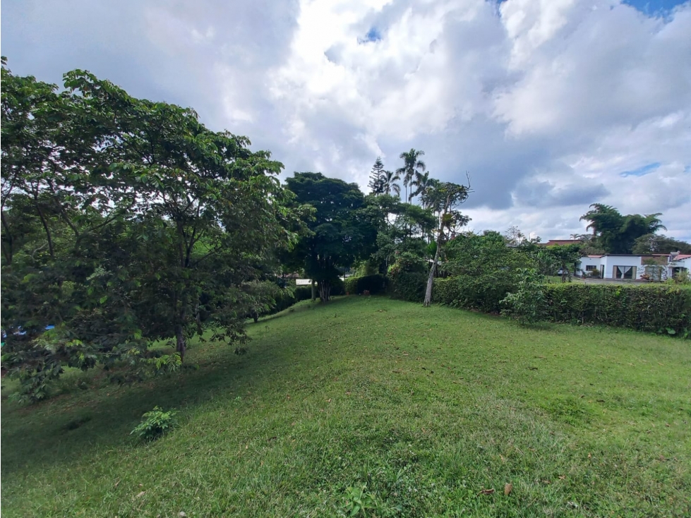 VENTA FINCA EN EL SECTOR DE LA GRAMINEA PEREIRA — foto 3