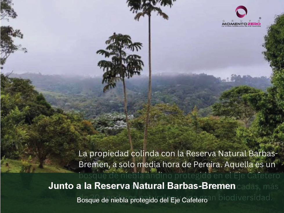 VENTA FINCA EN BARBAS BREMEN - 3