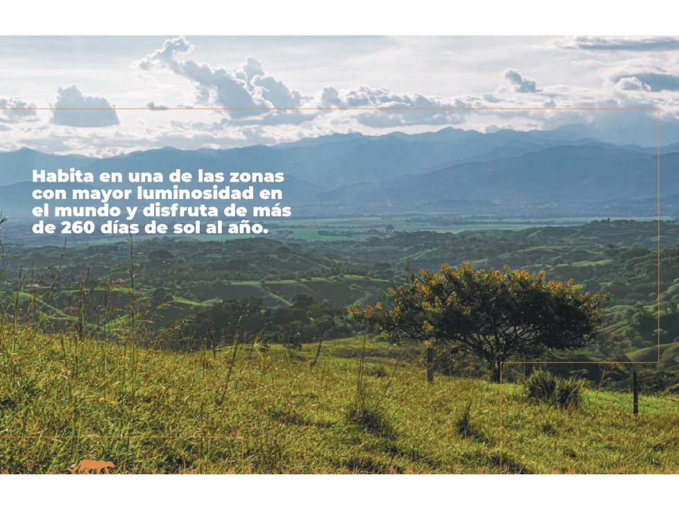 VENTA LOTES CON UNA ESPECTACULAR VISTA CERRITOS PEREIRA — foto 4