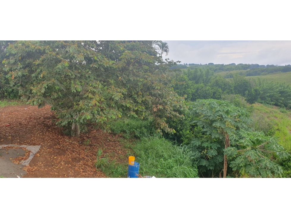 VENTA LOTE LISTO PARA CONSTRUIR VIA CERRITOS LA VIRGINIA PEREIRA — foto 4