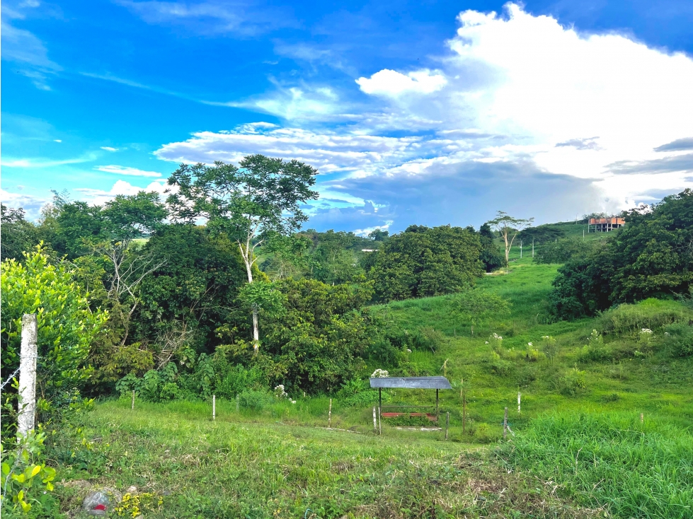 VENTA LOTE CON HERMOSA VISTA MALABAR CERRITOS PEREIRA — foto 3