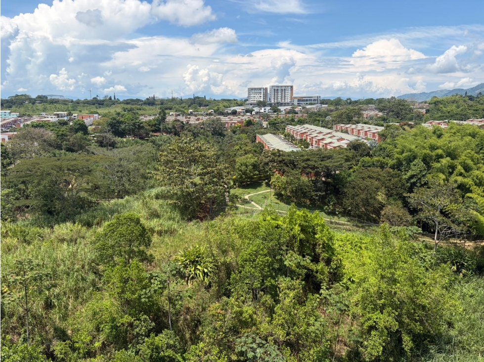 RENTA HERMOSO APARTAMENTO GALICIA PEREIRA — foto 4