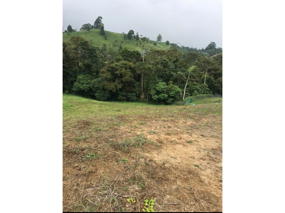 VENTA LOTES EN CONDOMINIO VÍA PEREIRA ARMENIA — foto 5