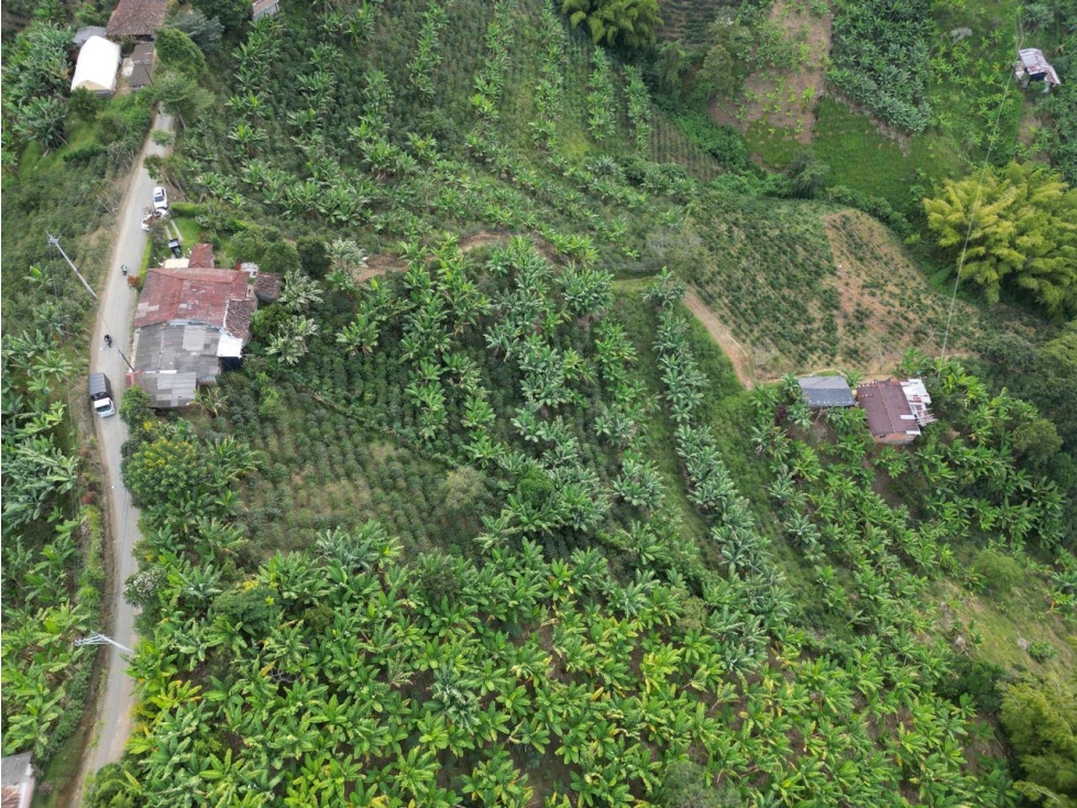 VENTA ESPECTACULAR LOTE AGRICOLA EN ALTAGRACIA PEREIRA — foto 5