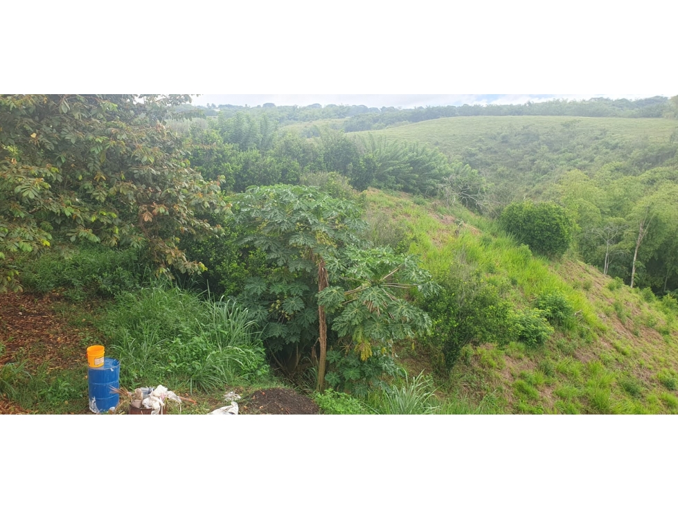 VENTA LOTE LISTO PARA CONSTRUIR VIA CERRITOS LA VIRGINIA PEREIRA — foto 5
