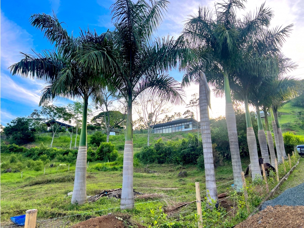 VENTA LOTE CON HERMOSA VISTA MALABAR CERRITOS PEREIRA — foto 4