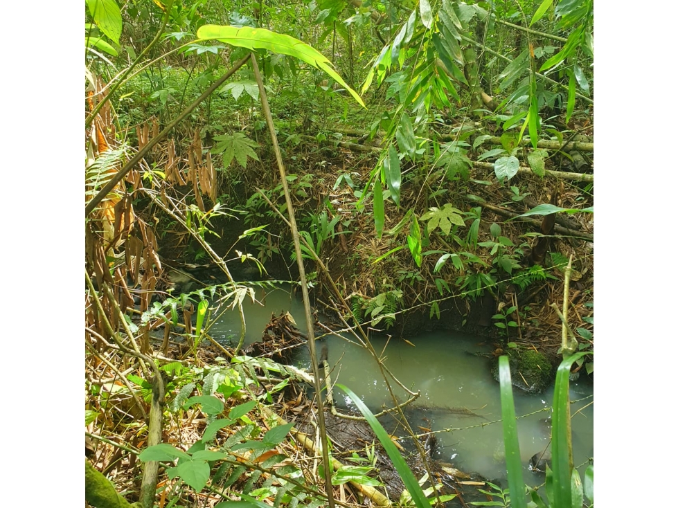 SE VENDE LOTE EN SECTOR CERRITOS PEREIRA — foto 5