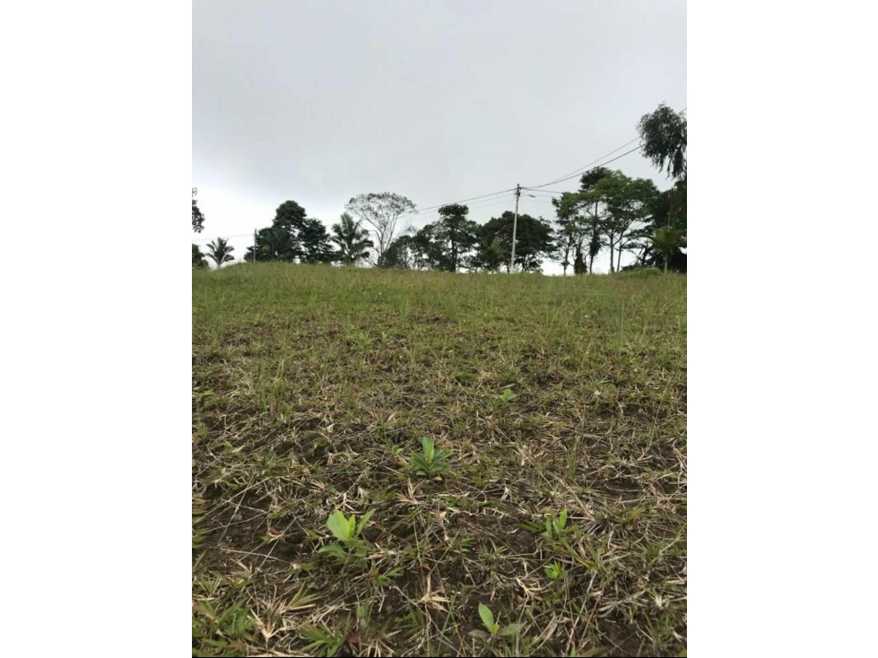 VENTA LOTES EN CONDOMINIO VÍA PEREIRA ARMENIA — foto 6