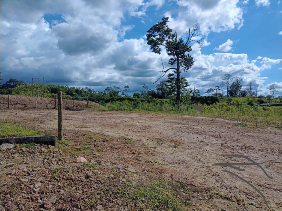 VENTA LOTE CAMPESTRE CONDOMINIO HERMOSA VISTA VIA CONDINA PEREIRA — foto 4