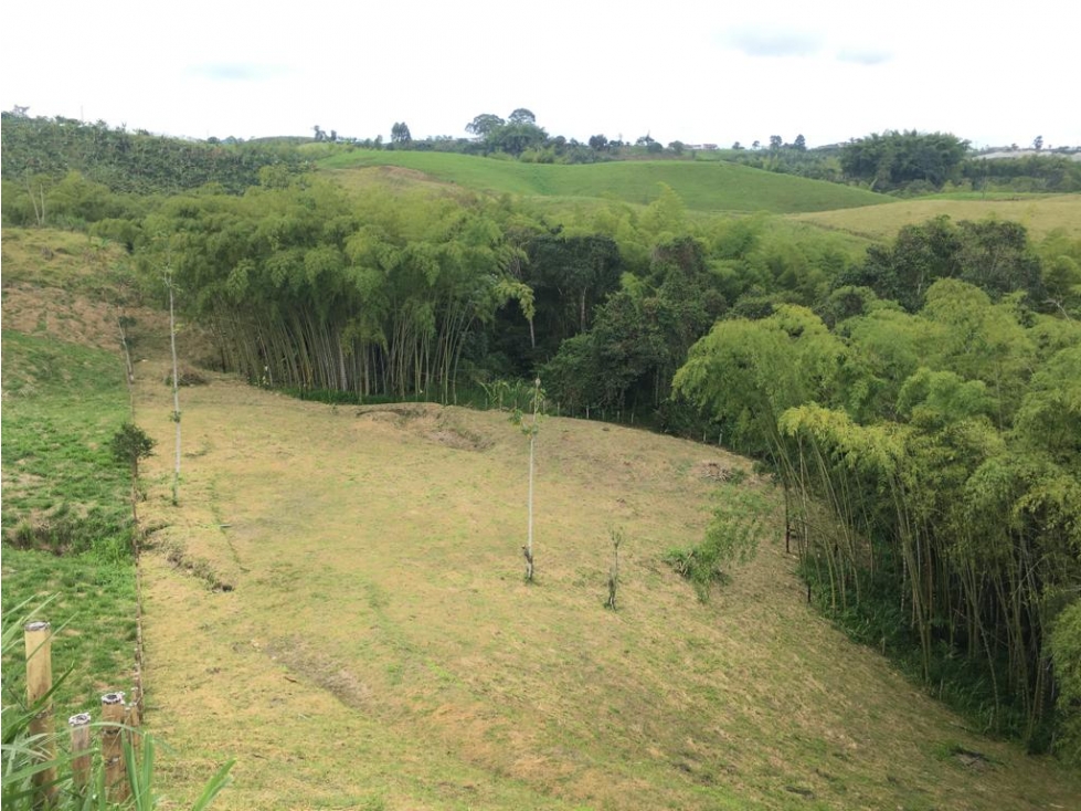 VENTA AMPLIO LOTE DE 10036 MTS VIA ALTAGRACIA PEREIRA — foto 4