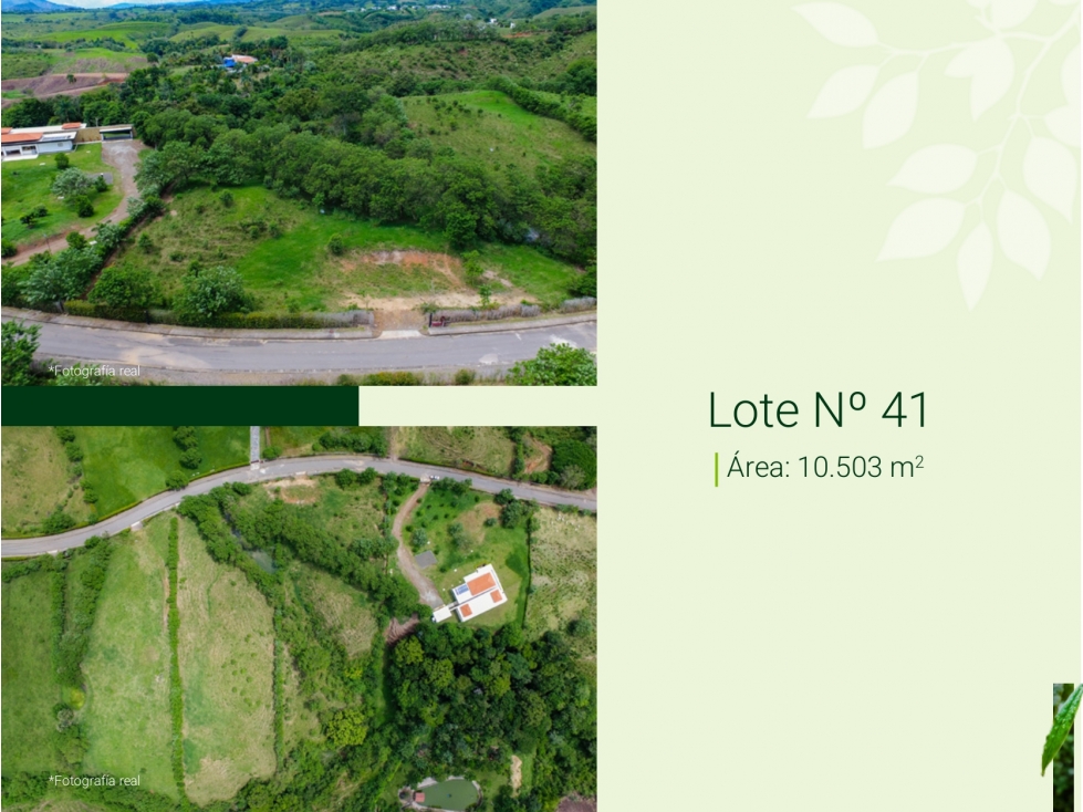 VENTA DE LOTES DE 10 MIL METROS EN CERRITOS PEREIRA — foto 4