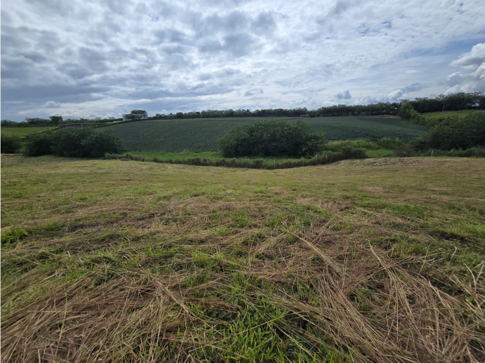VENTA LOTE VÍA CERRITOS LA VIRGINIA PEREIRA — foto 4