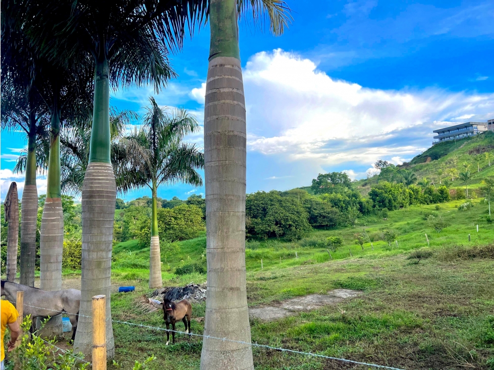 VENTA LOTE CON HERMOSA VISTA MALABAR CERRITOS PEREIRA — foto 5