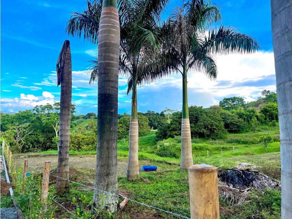 VENTA LOTE CON HERMOSA VISTA MALABAR CERRITOS PEREIRA — foto 6