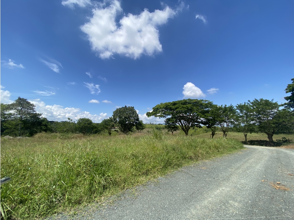 VENTA EXCLUSIVOS LOTES CAMPESTRES SEPTIMA ETAPA CERRITOS PEREIRA — foto 5
