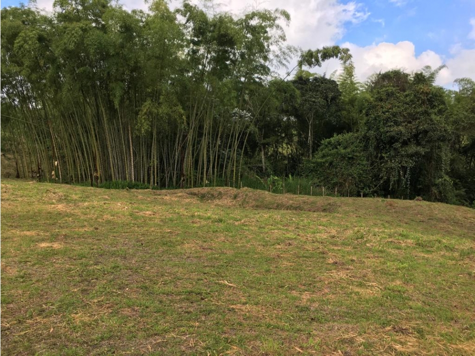 VENTA AMPLIO LOTE DE 10036 MTS VIA ALTAGRACIA PEREIRA — foto 6