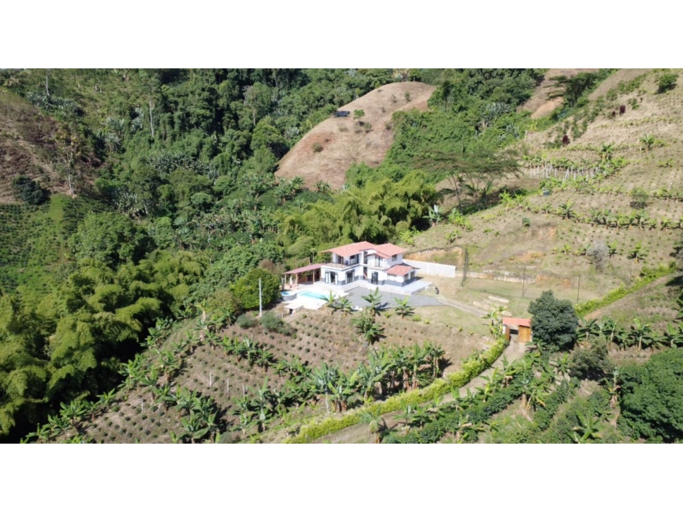 VETA FINCA CAFETERA EN SANTA ROSA DE CABAL CERCA A PEREIRA — foto 2