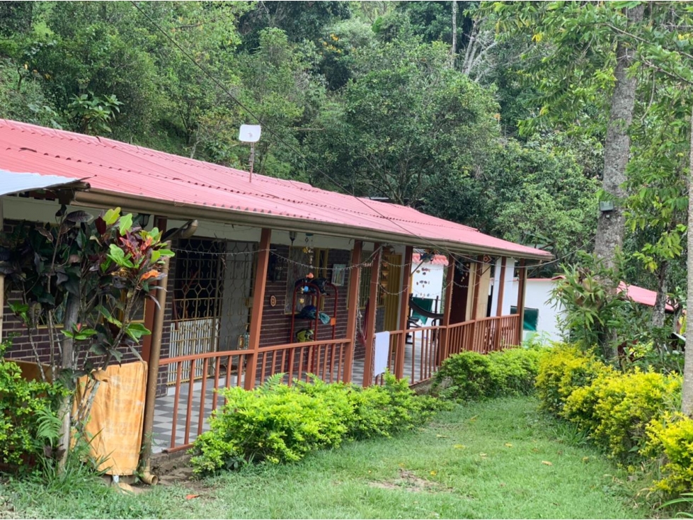 Finca la Vega - 3