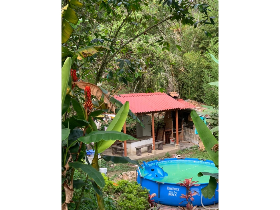 Finca la Vega - 5