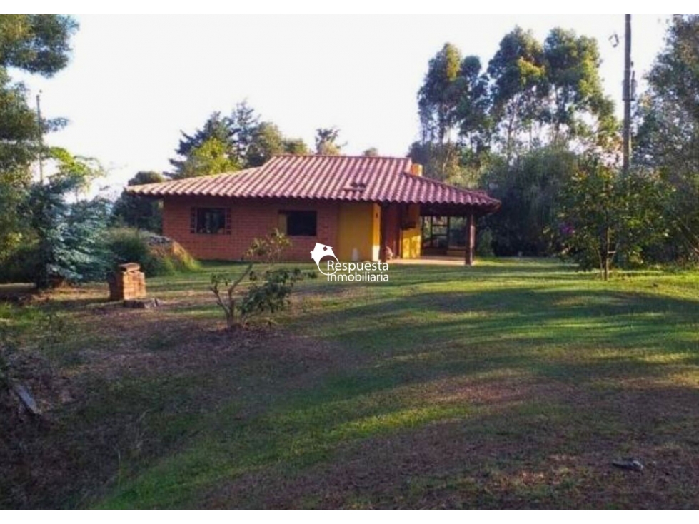 Vendo Lote Cerca al Aeropuerto de RIONEGRO Antioquia — foto 2