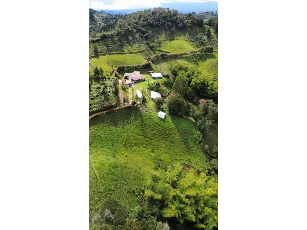 Finca de 2 Hectareas en el Peñol Antioquia - 3