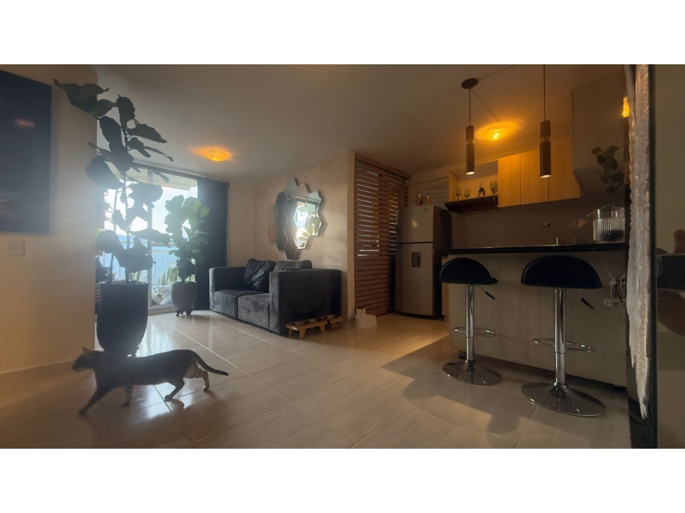 VENDO HERMOSO APARTAMENTO EN SAN ANTONIO DE PRADO — foto 2