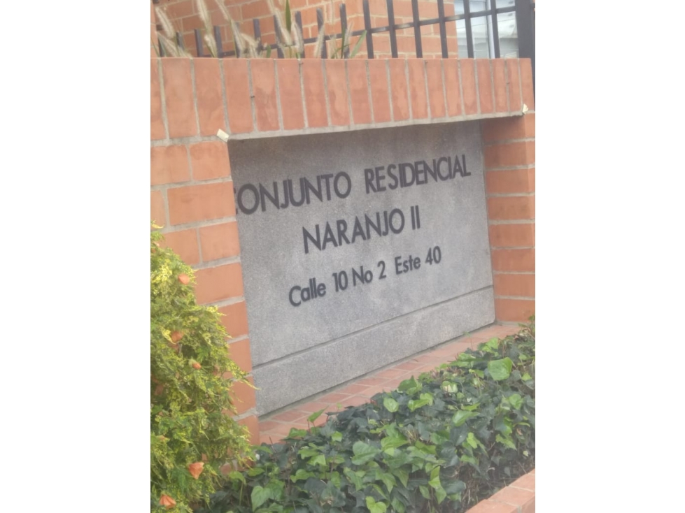 NARANJO II