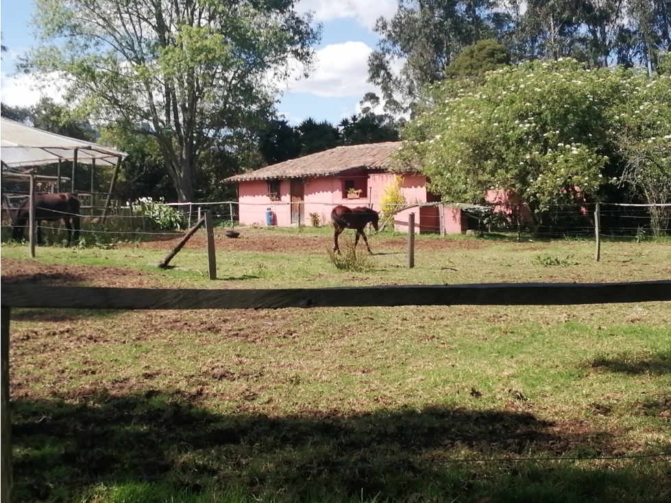 FINCA CAMPESTRE AGROPECUARIA - 2