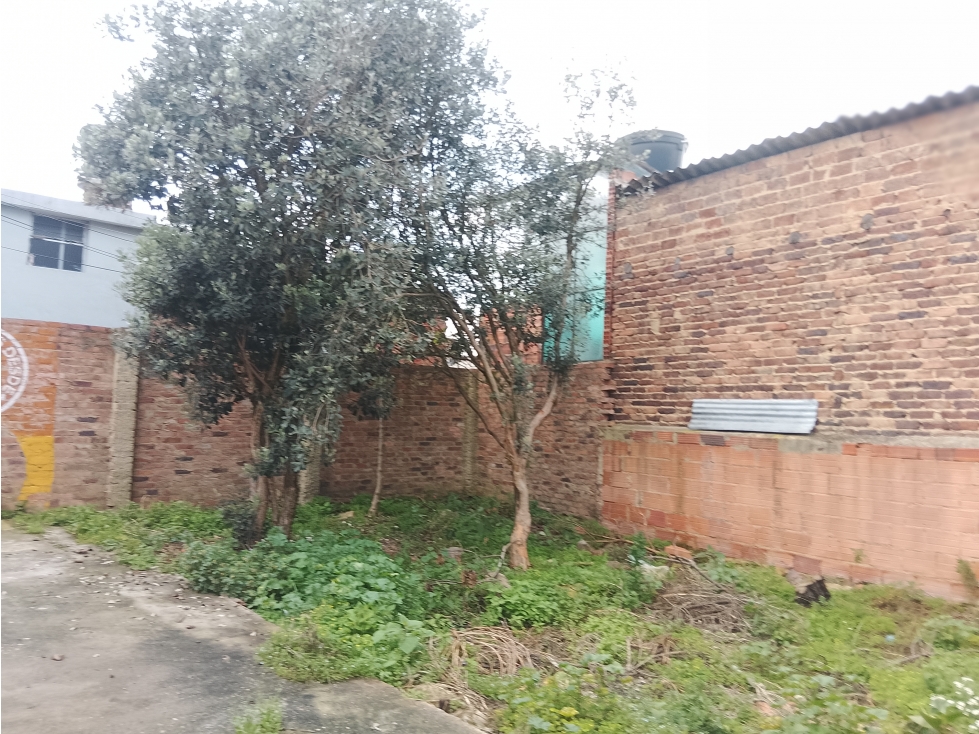 LOTE - 3