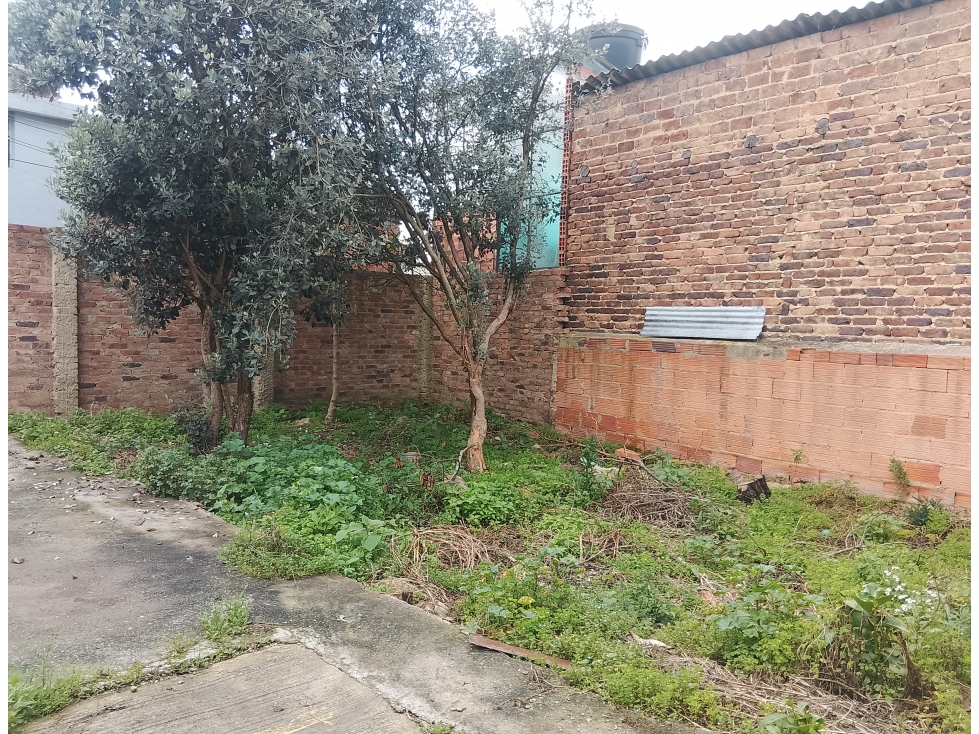 LOTE - 4