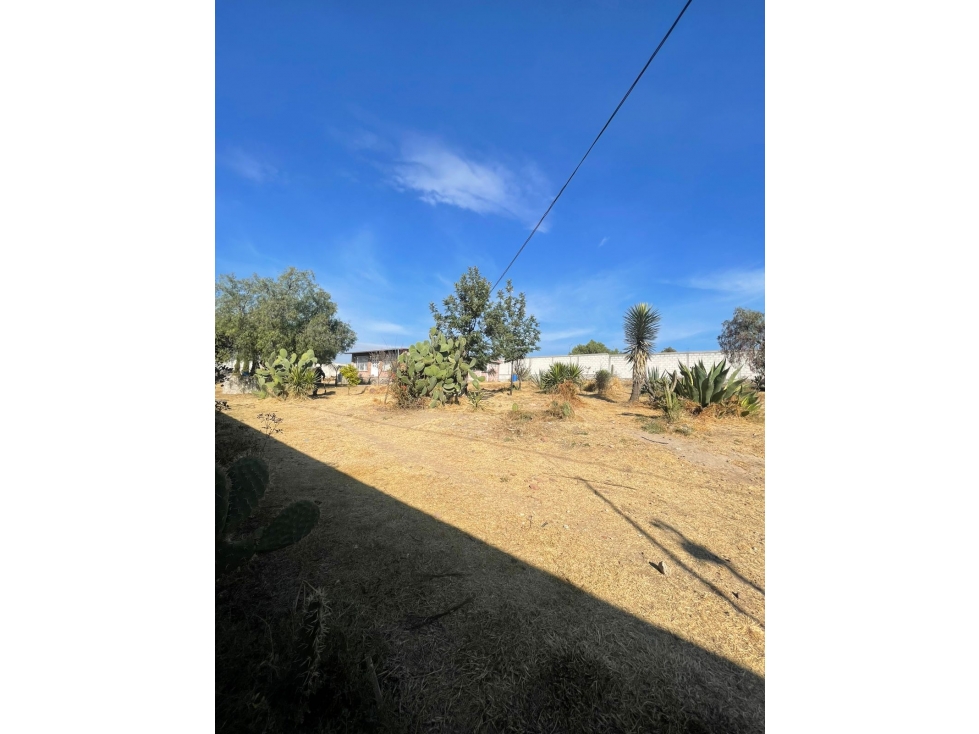 RANCHO EN VENTA EN MATILDE - 6