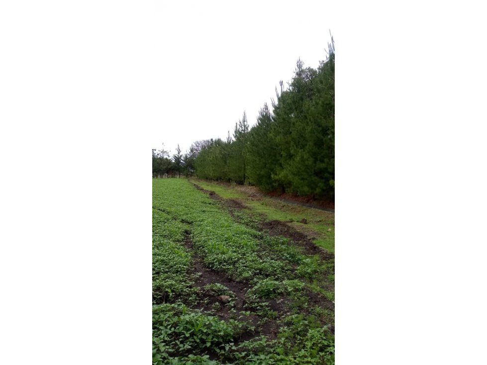 Terreno en venta en Huasca a 5 min de Museo de Duende - 2