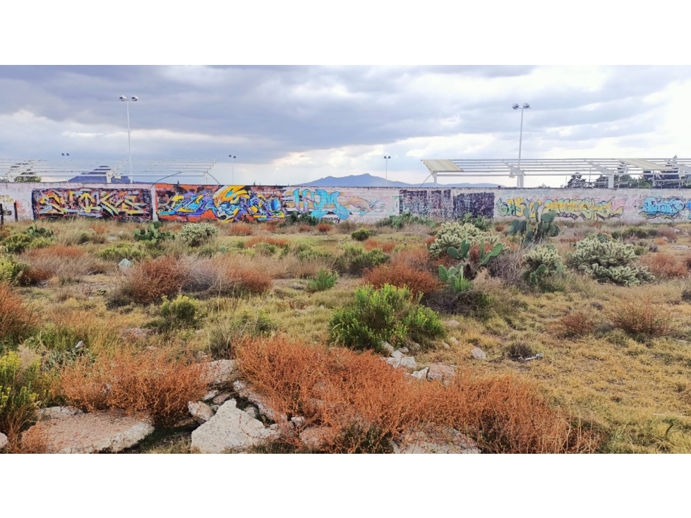 TERRENO EN VENTA EN PACHUQUILLA, HGO - 1